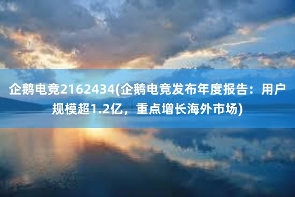 企鹅电竞2162434(企鹅电竞发布年度报告：用户规模超1.2亿，重点增长海外市场)