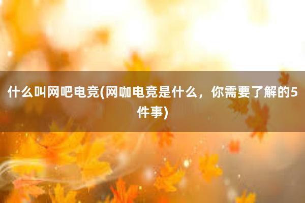 什么叫网吧电竞(网咖电竞是什么，你需要了解的5件事)