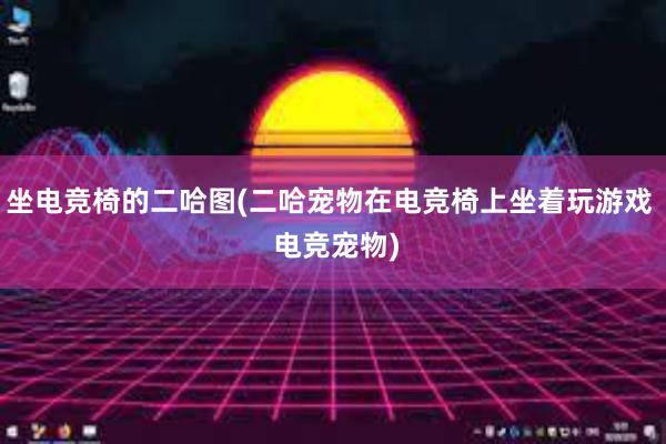 坐电竞椅的二哈图(二哈宠物在电竞椅上坐着玩游戏  电竞宠物)