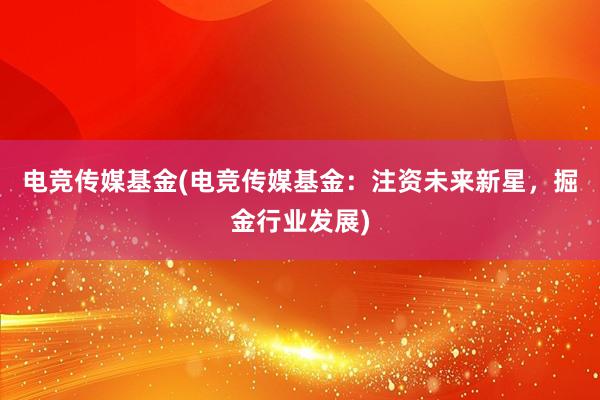 电竞传媒基金(电竞传媒基金：注资未来新星，掘金行业发展)