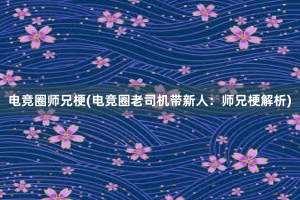 电竞圈师兄梗(电竞圈老司机带新人：师兄梗解析)