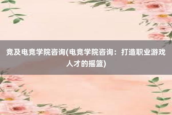 竞及电竞学院咨询(电竞学院咨询：打造职业游戏人才的摇篮)