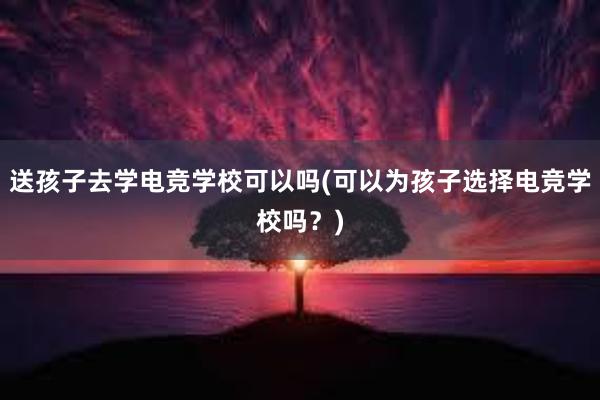 送孩子去学电竞学校可以吗(可以为孩子选择电竞学校吗？)