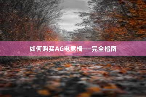 如何购买AG电竞椅——完全指南