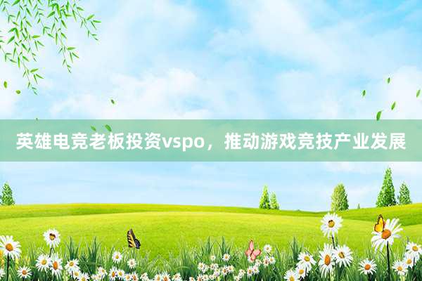 英雄电竞老板投资vspo，推动游戏竞技产业发展