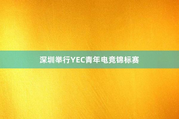 深圳举行YEC青年电竞锦标赛