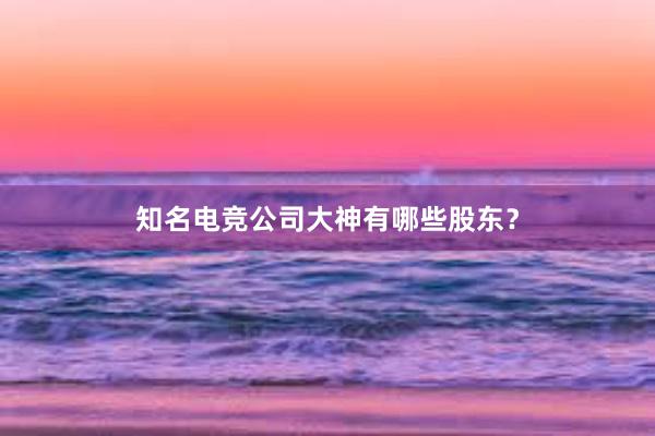 知名电竞公司大神有哪些股东？