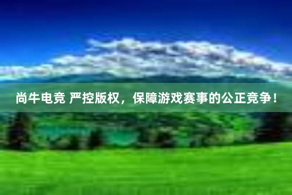 尚牛电竞 严控版权，保障游戏赛事的公正竞争！