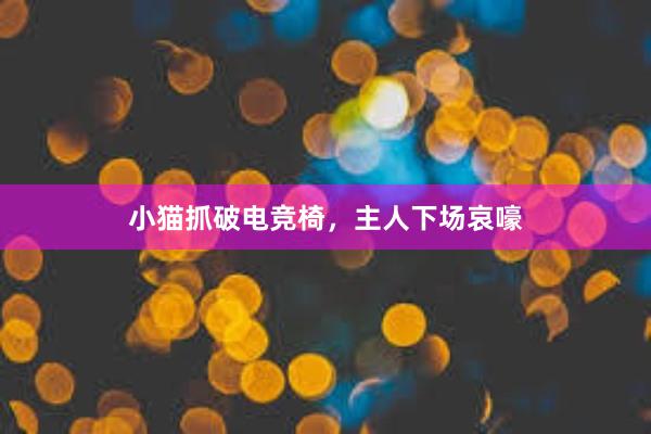 小猫抓破电竞椅，主人下场哀嚎