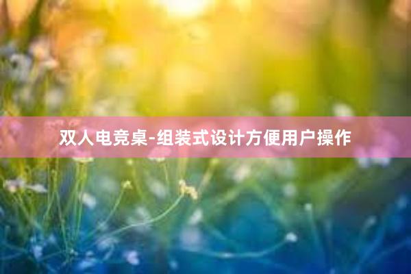 双人电竞桌-组装式设计方便用户操作