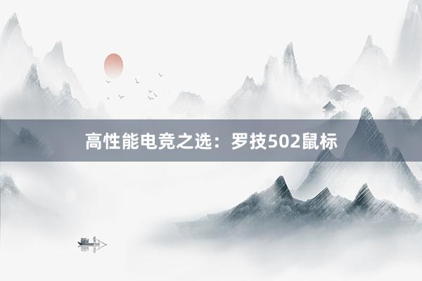 高性能电竞之选：罗技502鼠标