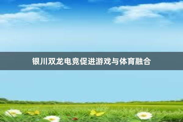 银川双龙电竞促进游戏与体育融合